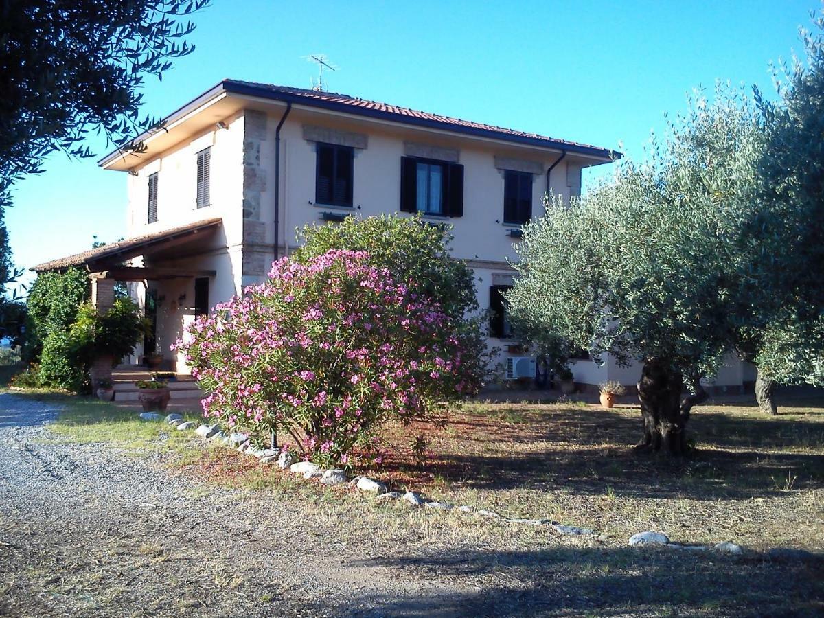Pathirion B&B Rossano Exteriör bild
